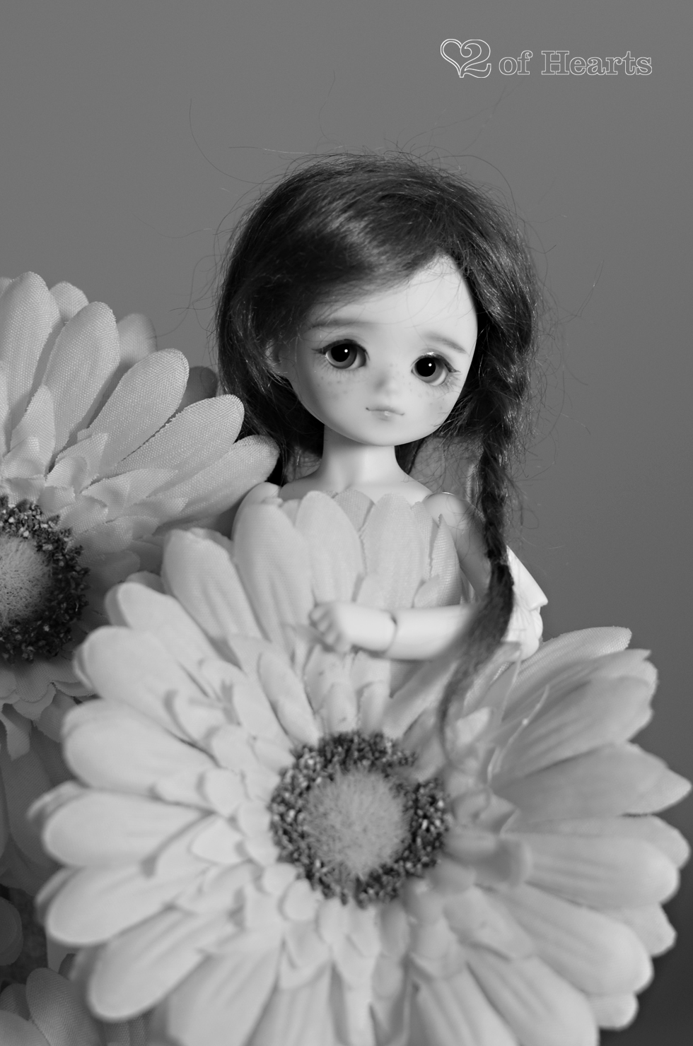 Minimato [PF Sugar Choco]