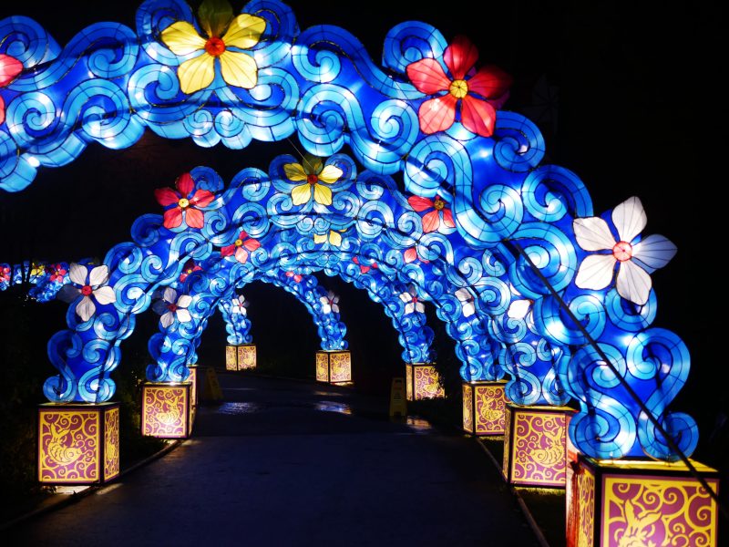 20180103 – Chinese Lantern Festival