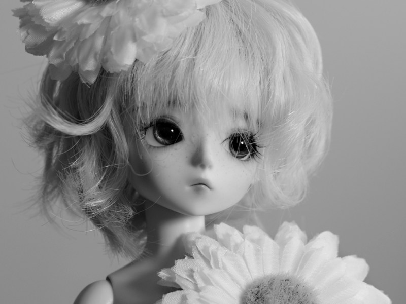 Théo [Shiny Fairy Paul]