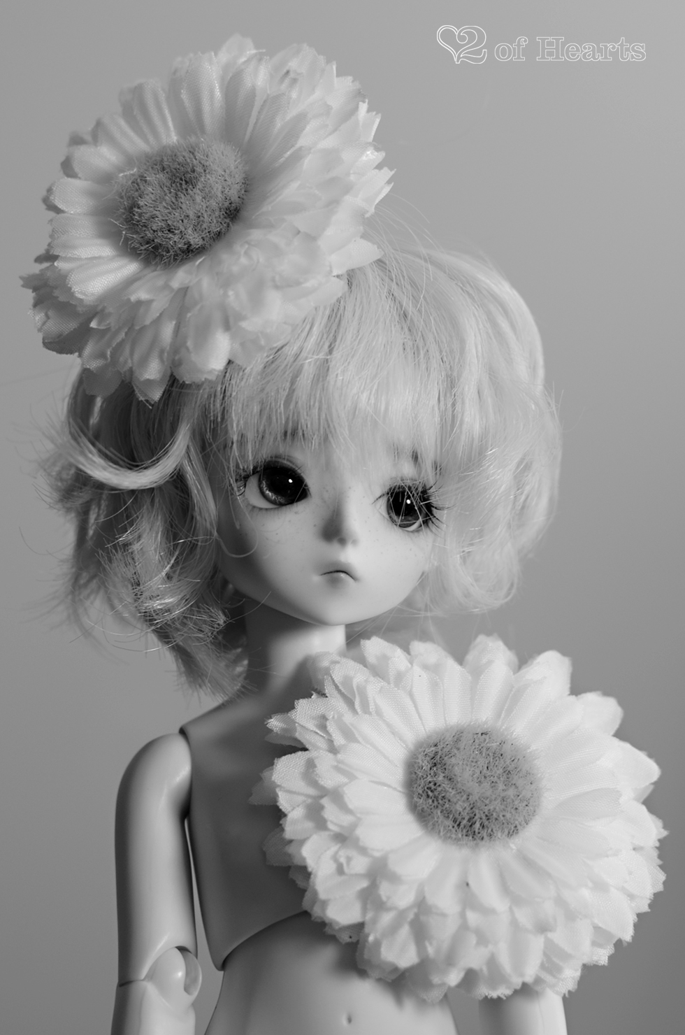 Théo [Shiny Fairy Paul]