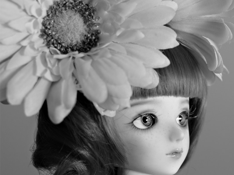 2015 – June Profile