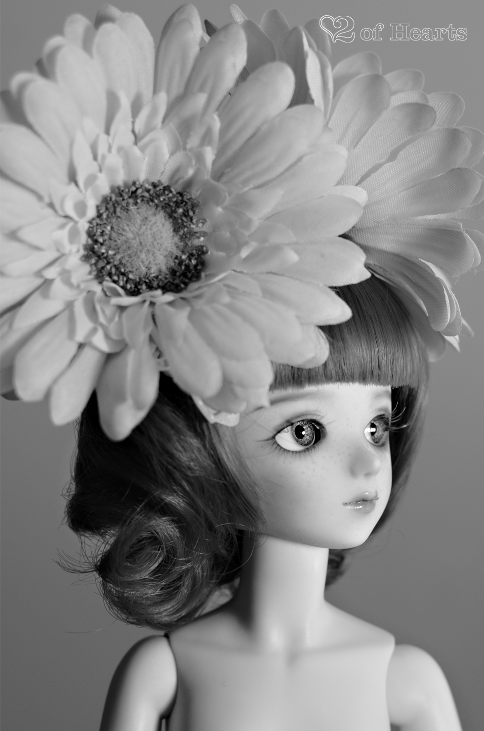 2015 – June Profile