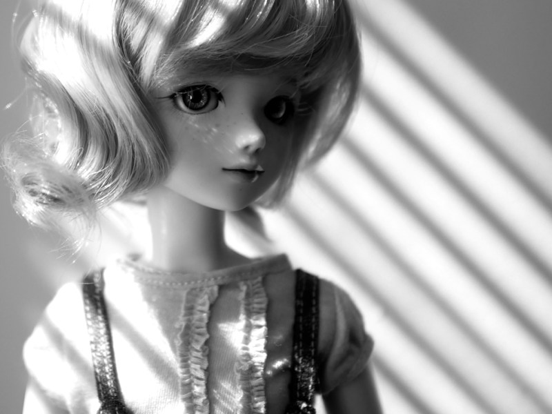 Tomato [Tiny Fairy Tommy]