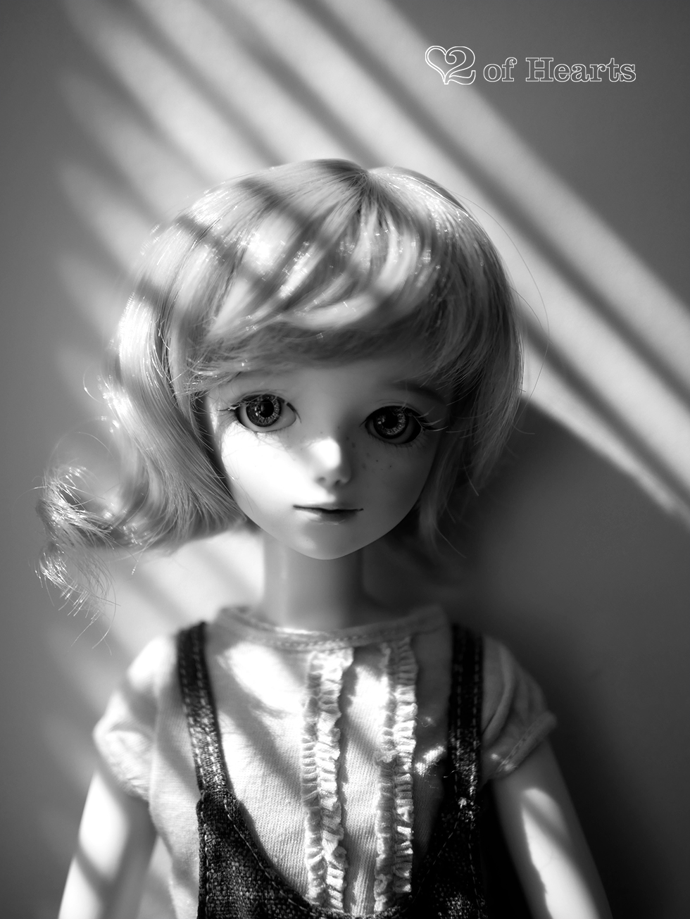 2018 – July Profiles