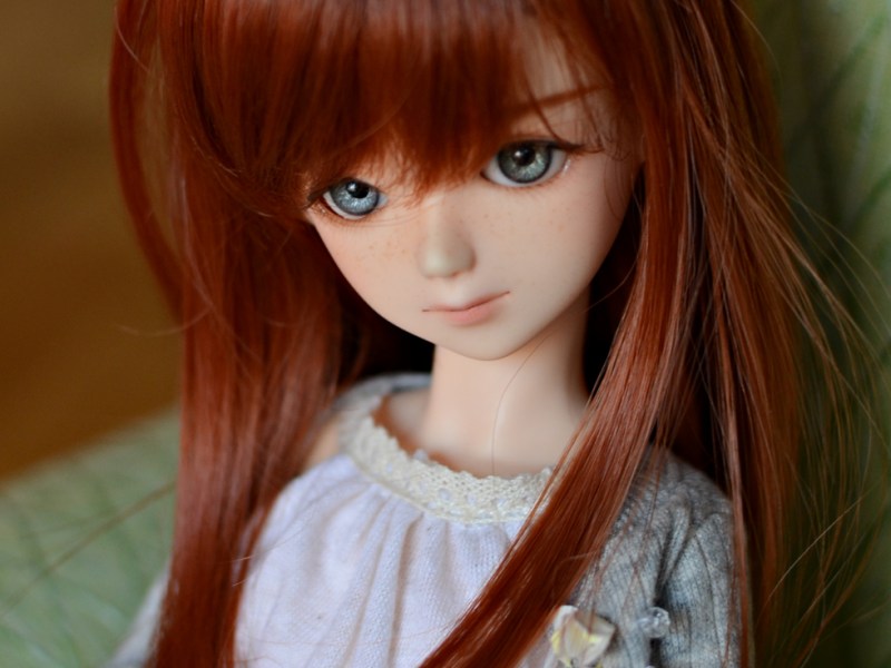 2012 – November Profile