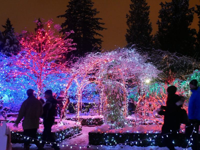 2016 – Van Dusen Festival of Lights