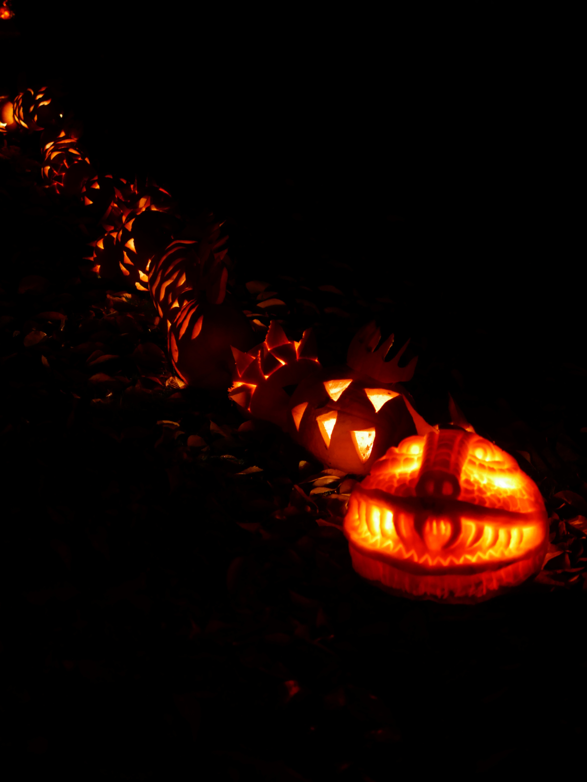 2016 – Autumn Random