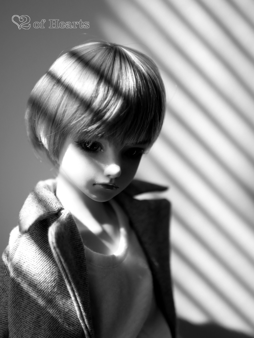 Viverē [SoulDoll – The Fool Lev]